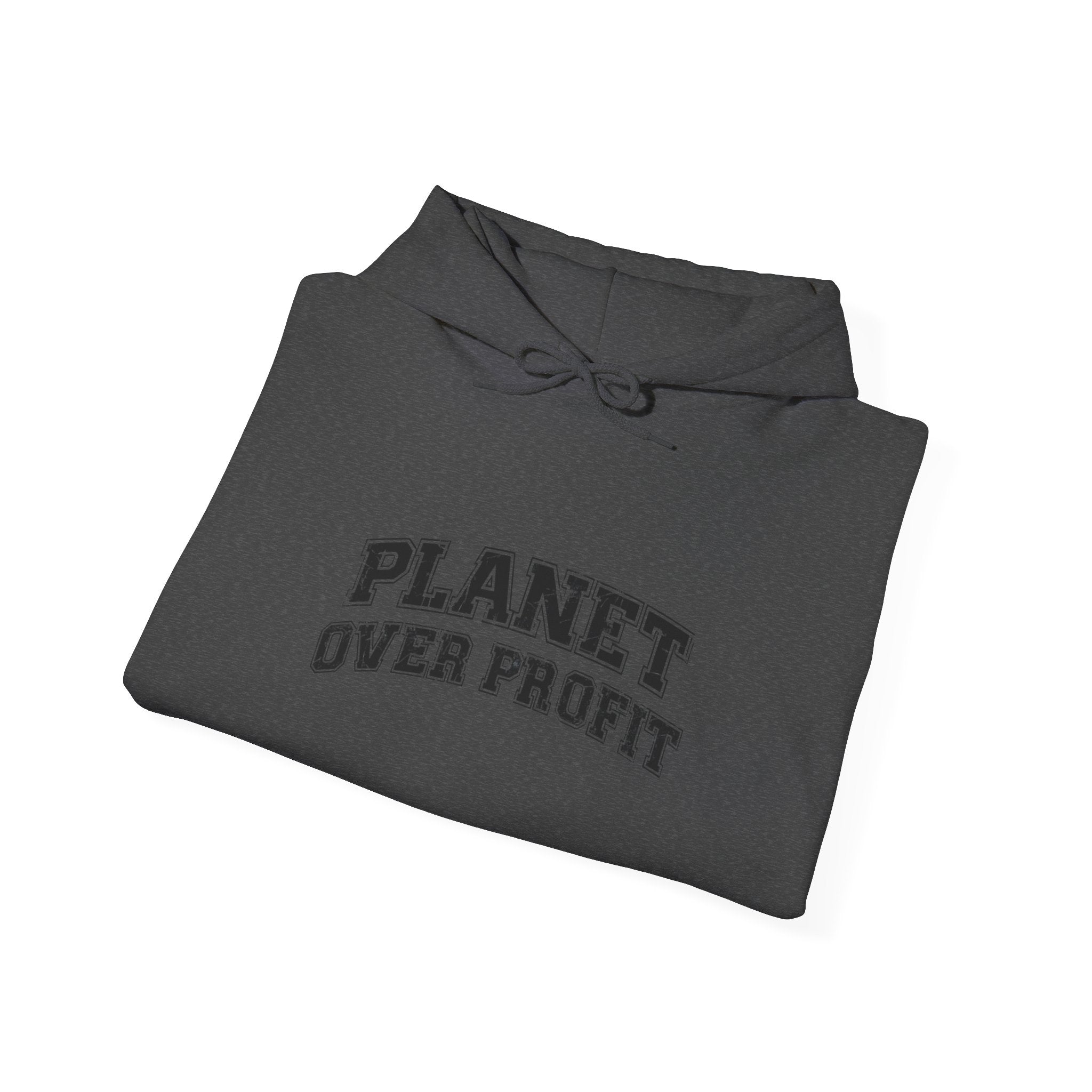 Planet Over Profit Hoodie