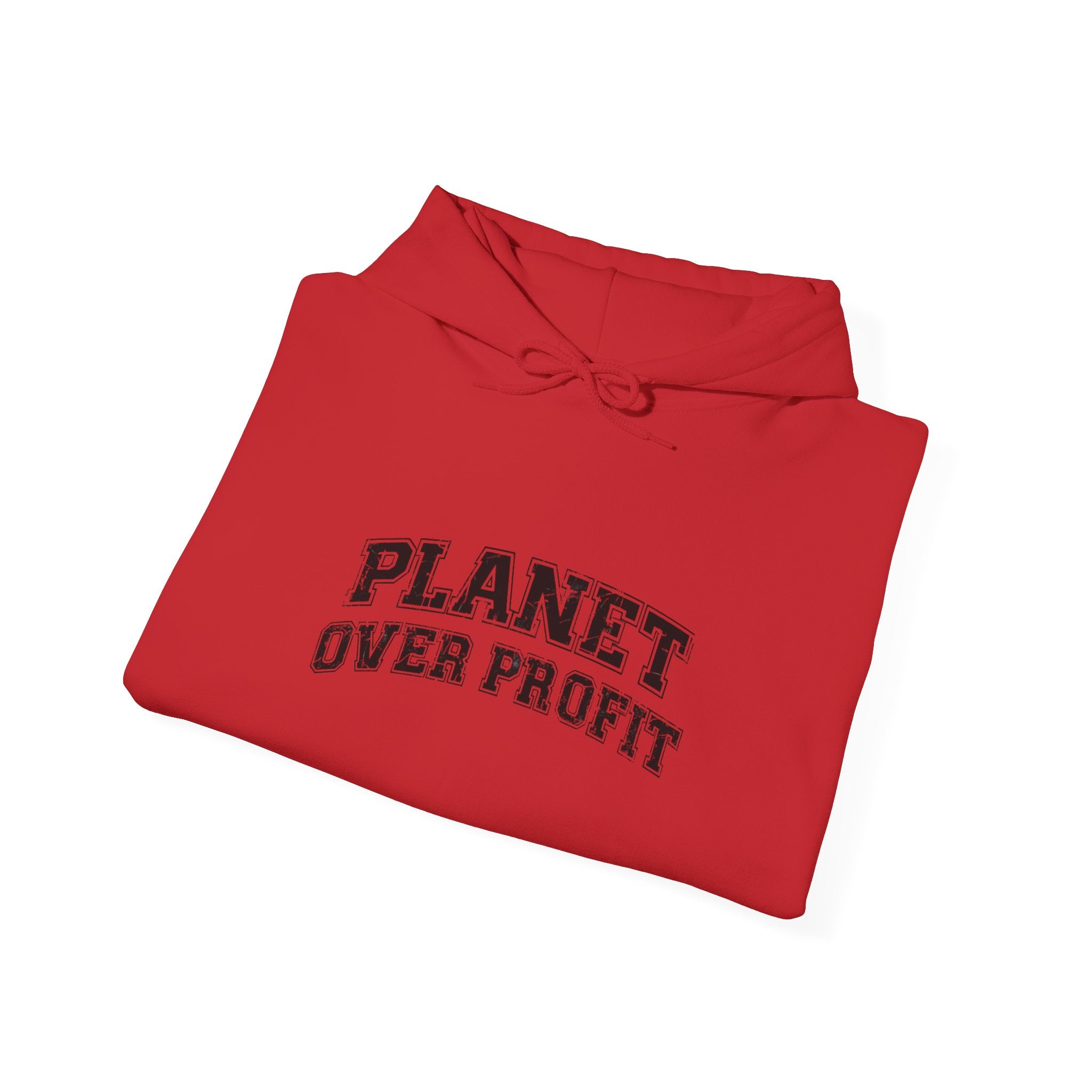 Planet Over Profit Hoodie